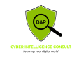 Cyber Intelligence Consult