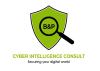 Cyber Intelligence Consult