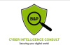 Cyber Intelligence Consult